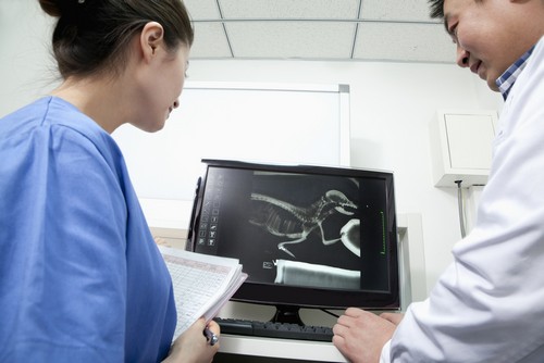 Radiology